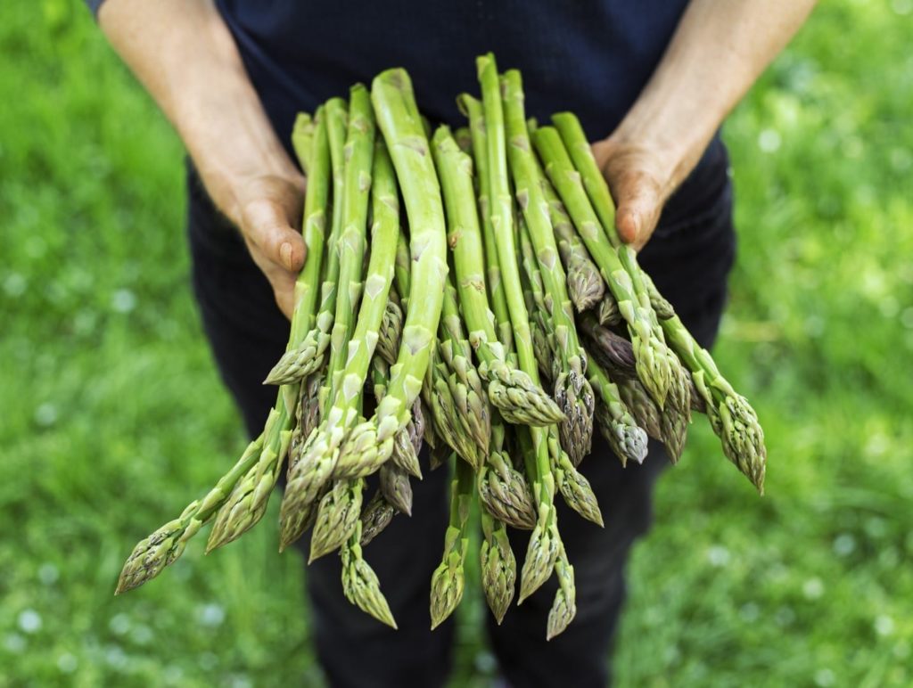 The supplement you need for good gut health – that you’re probably not taking!