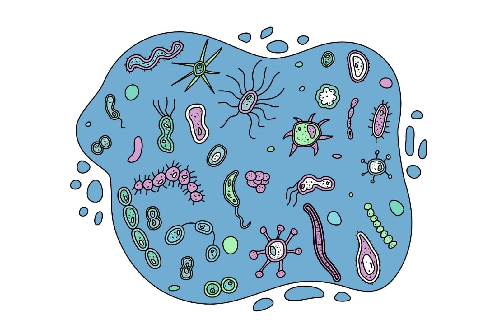 Graphic of gut microbiome bacteria