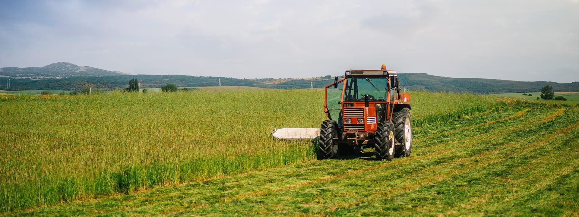 Tractor in a field