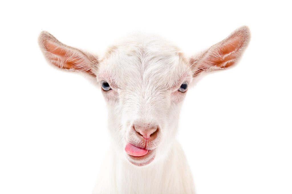 Kefir – what’s it all about?