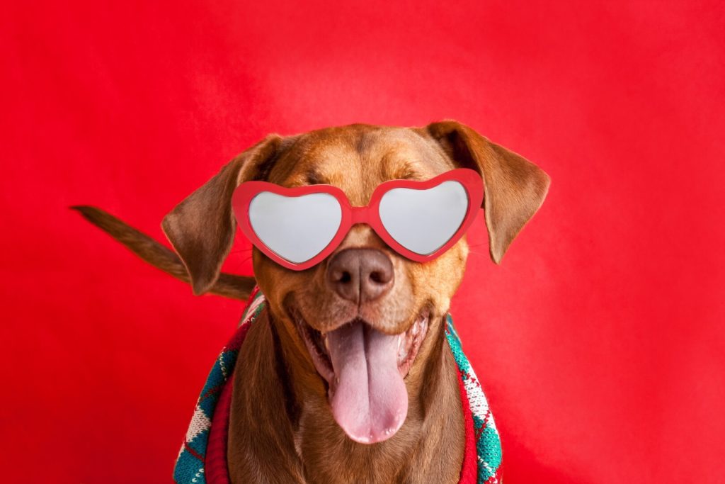 Get heart-healthy for Valentines! 