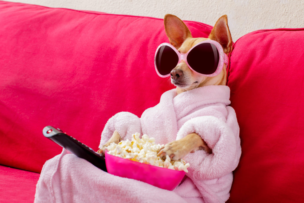 6 reasons why you’re hungry all the time