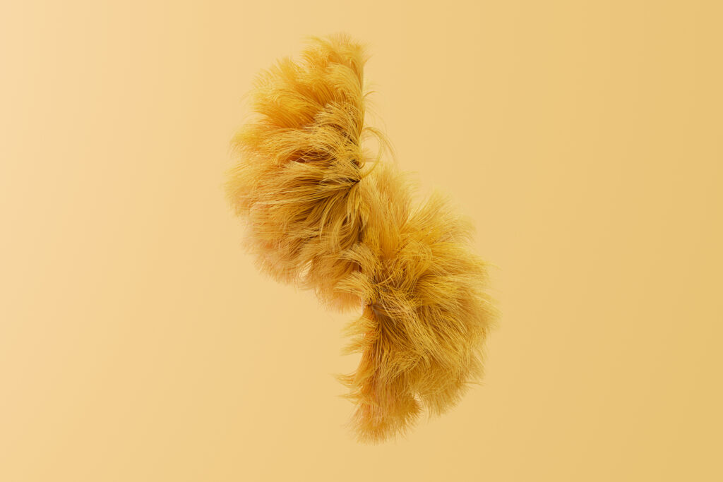 6 ways Lion’s Mane mushroom can boost cognitive vitality