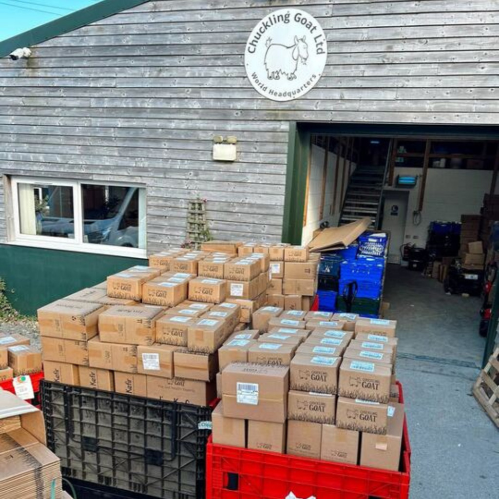 10/10/2024 🥳 | Chuckling Goat