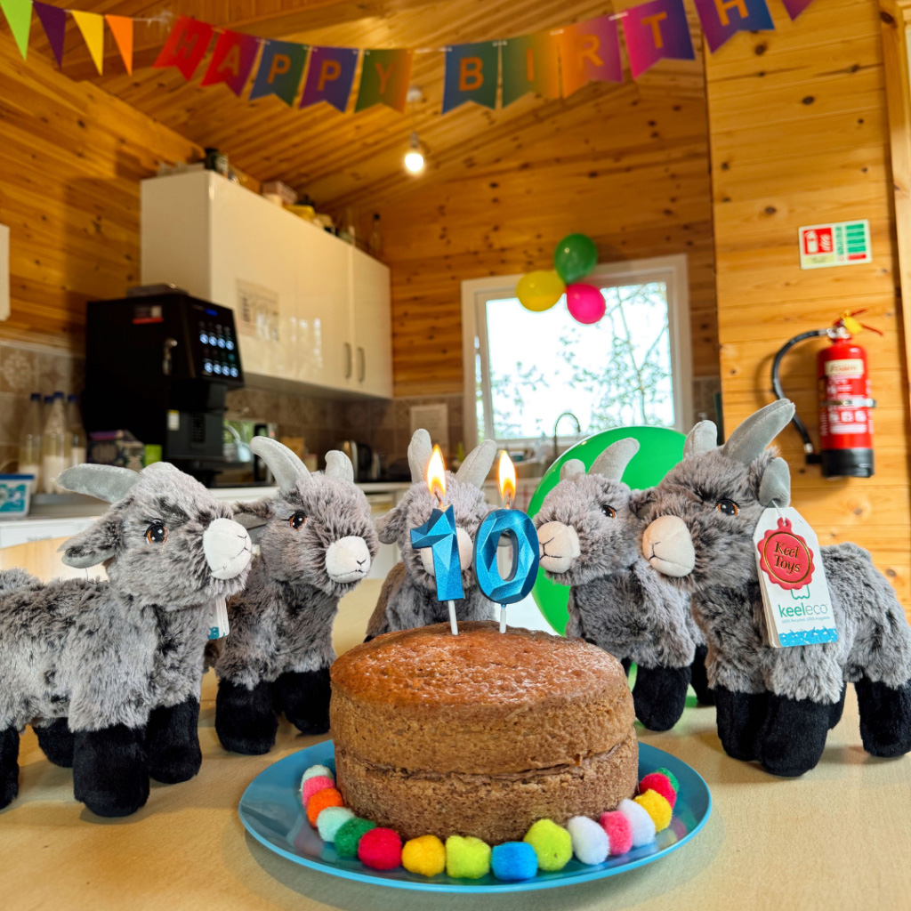 10/10/2024 🥳 | Chuckling Goat