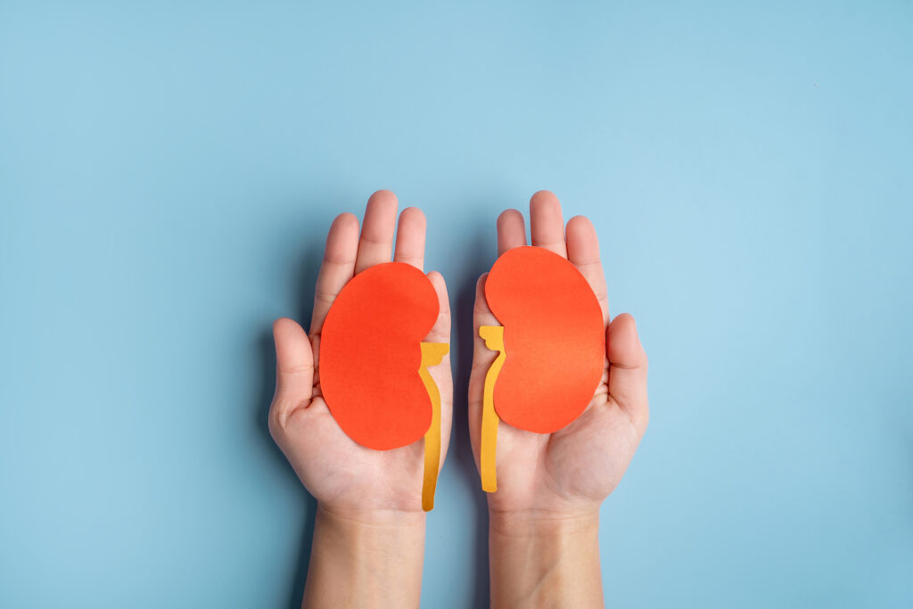 3 natural ways to lower your risk of Kidney Disease