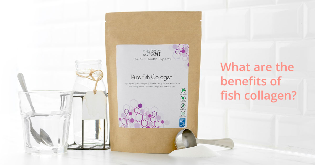 Image of Chuckling Goat Pure Fish Collagen on plain white background with caption "What are the benefits of fish collagen"