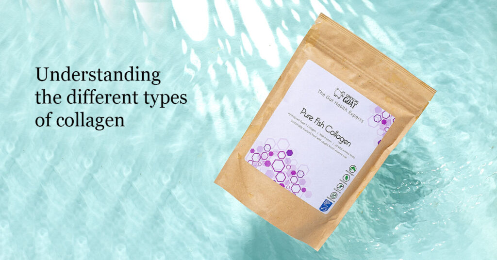 Understanding all the different types of collagen