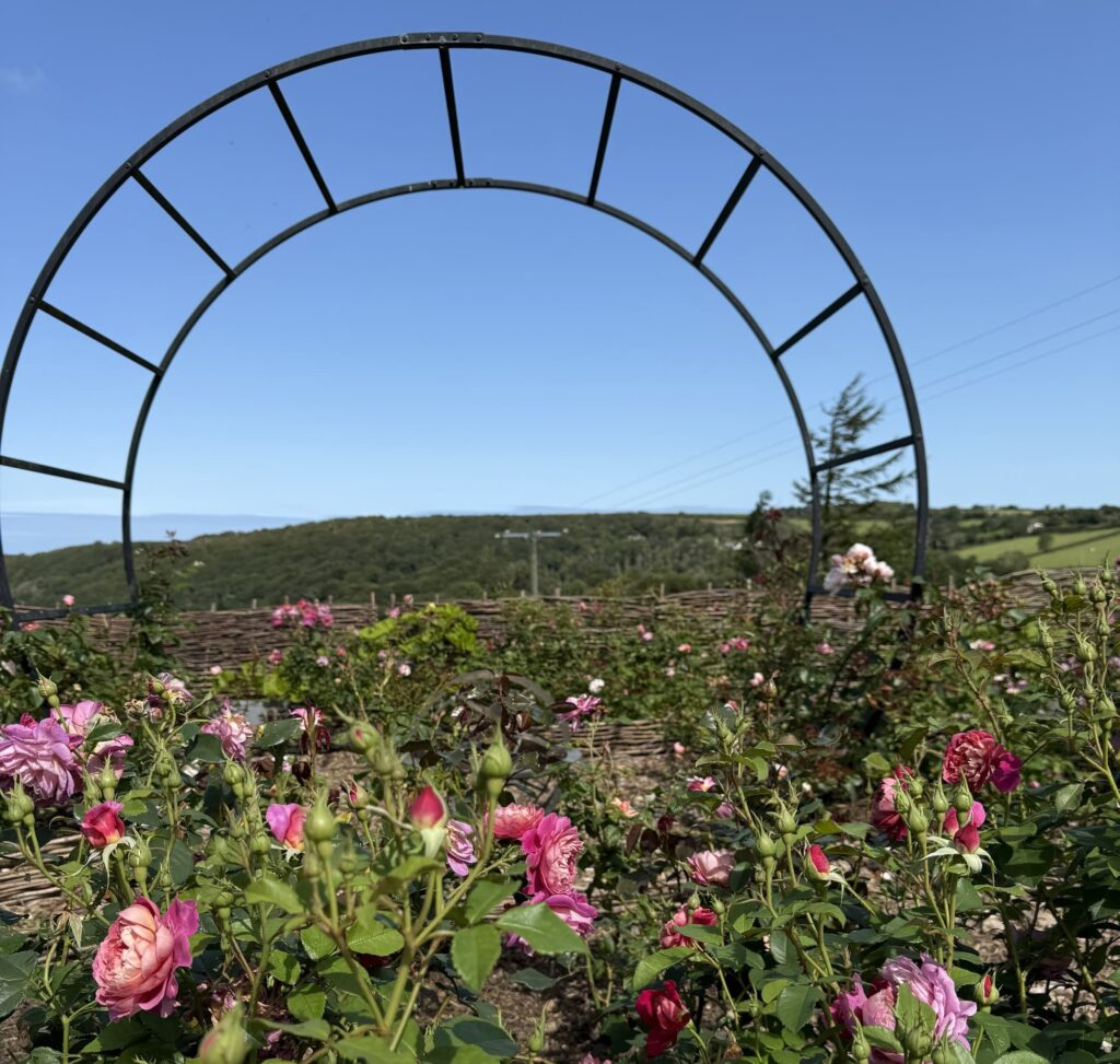 2 ways to sort your hormones, today!