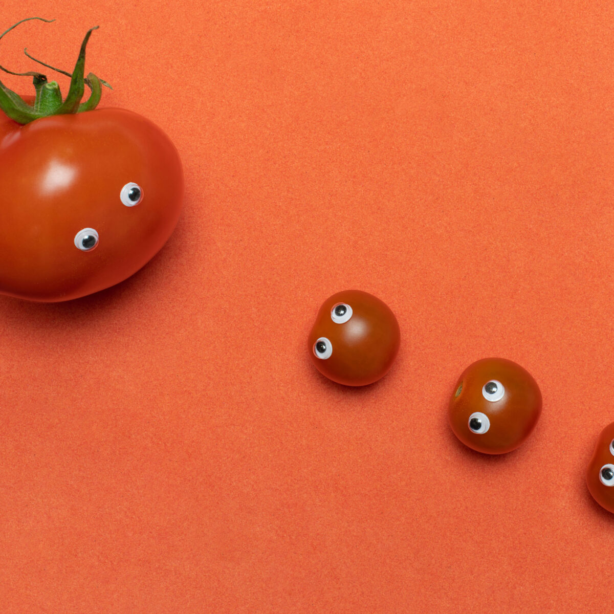 Tomatoes with eyes, funny concept, bruschetta summer recipe