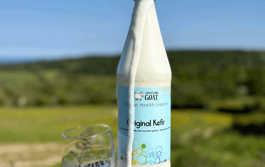 Image of Chuckling Goat Original Kefir - live, fizzy, and bubbling out the bottle.