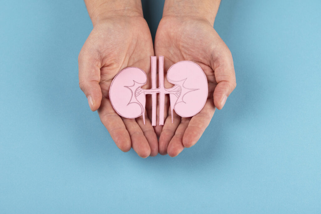 11 simple ways to support kidney health naturally