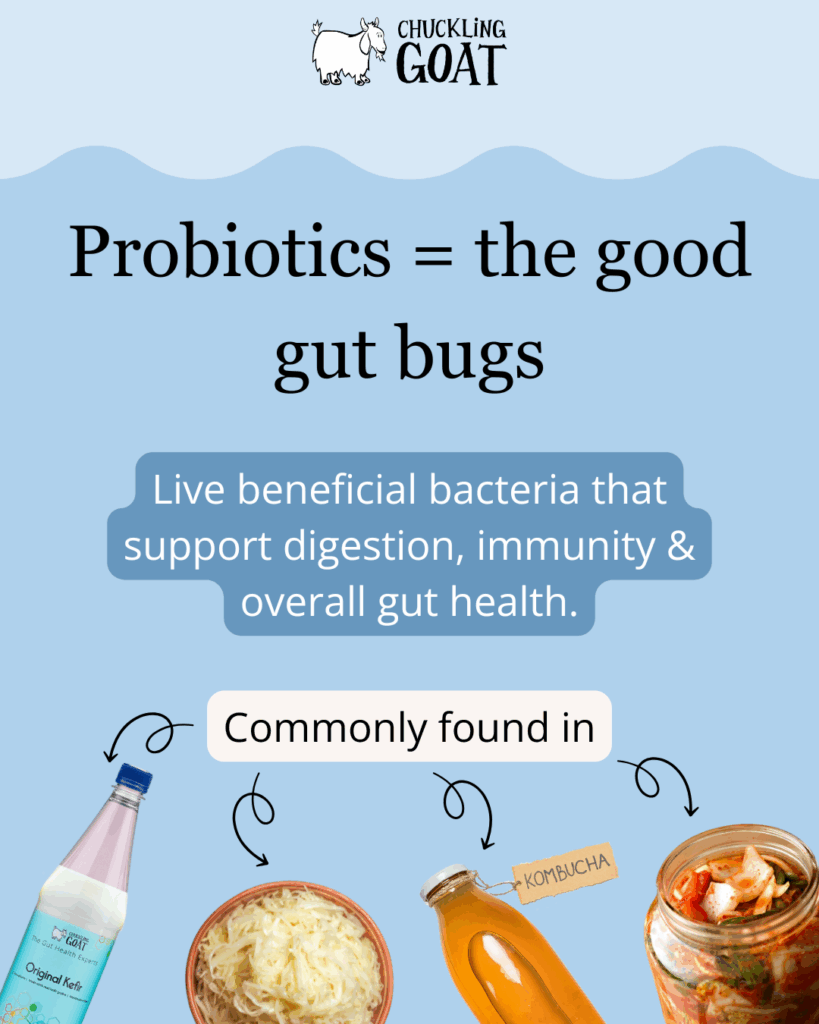 Pin/image of what probiotics are and examples. Blue background. Canva design.
