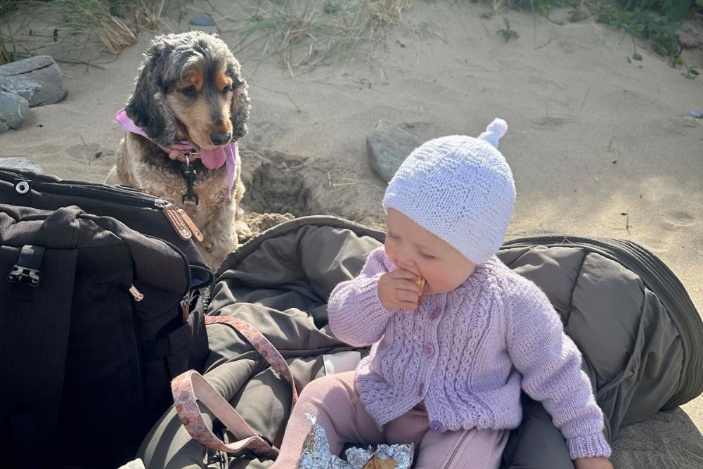 Reasons to feel optimistic this February | Chuckling Goat