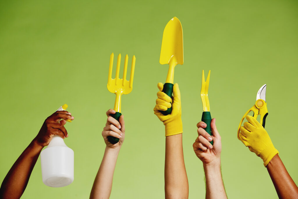 Grow your own: 5 easy crops for pots