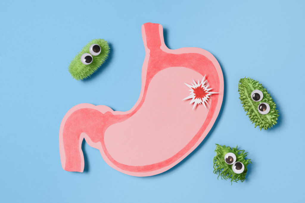Why your gut needs “bad” bacteria